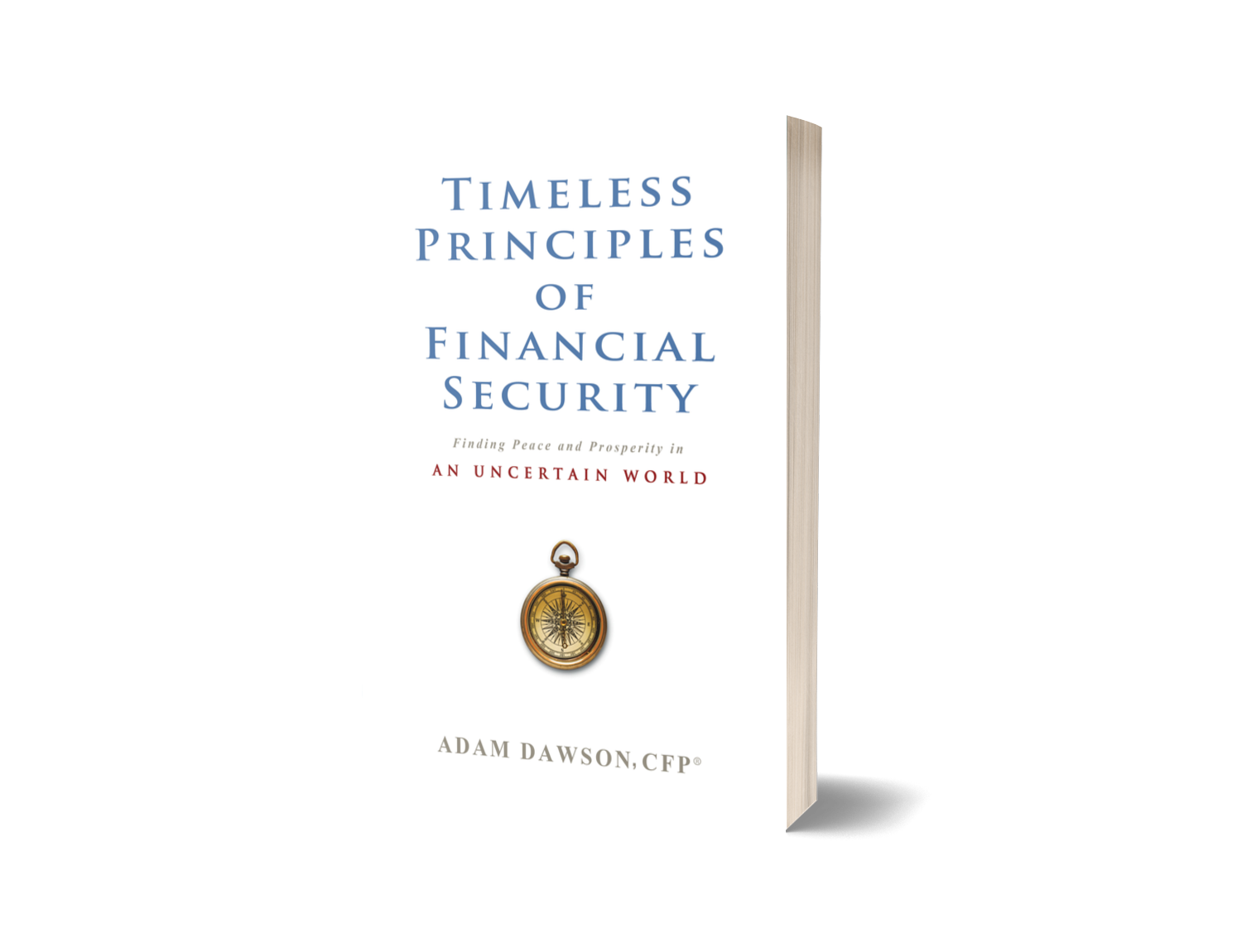 Timeless Principles front cover only (3D from diybookcovers)